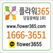 플라워365