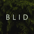 블리트(BLID)
