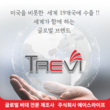 트레비비데본사