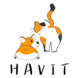 HavitPet