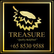 Treasure Concepts
