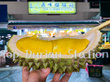 Top Durian