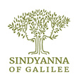 Sindyanna of Galilee