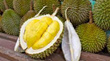 Fruit Monkey Durian