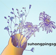 suhongpingsg