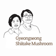 Gyeongseong Shiitake Mushroom Farm