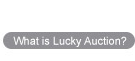 What is Lucky Auction