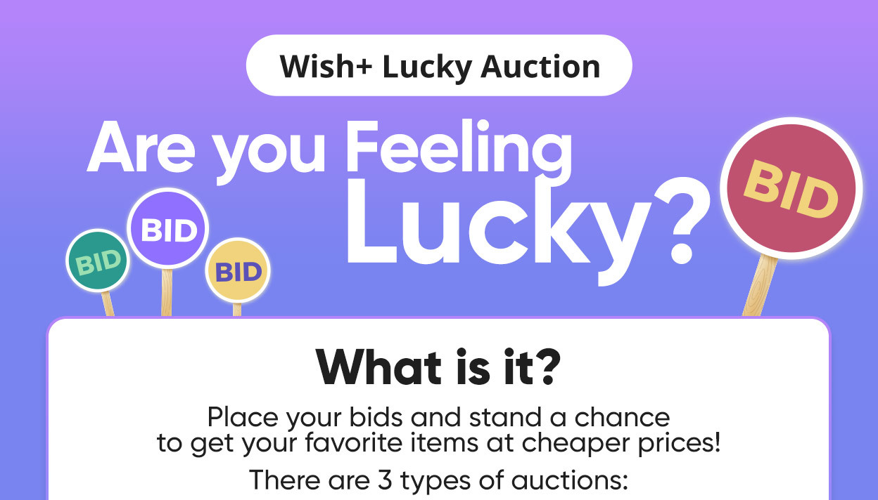 Lucky Auction Guide