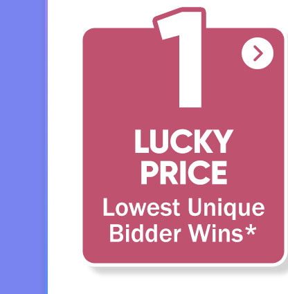 Lucky Auction Guide