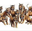 eleven tiger brand